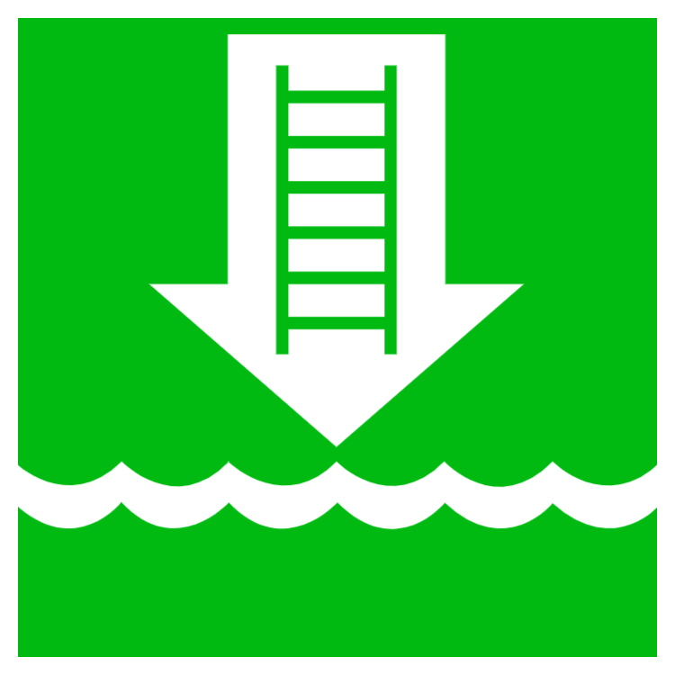 Embarkation ladder or alternative approved device