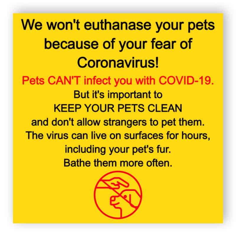Pets and coronavirus for Veterinary Clinic - sticker