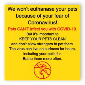Pets and coronavirus for Veterinary Clinic - sticker